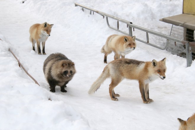 ���R�ƕ��ꍞ�ށc