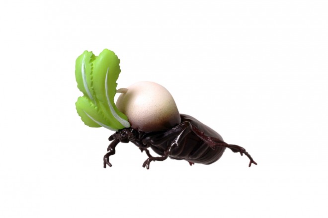 �y���i���z���ނ�