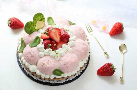 Soyon���񂪍�����P�[�L