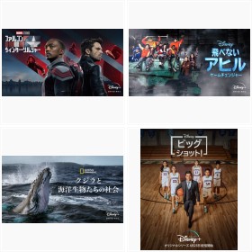 �yNEXT on�f�B�Y�j�[�v���X�z2021�N4��