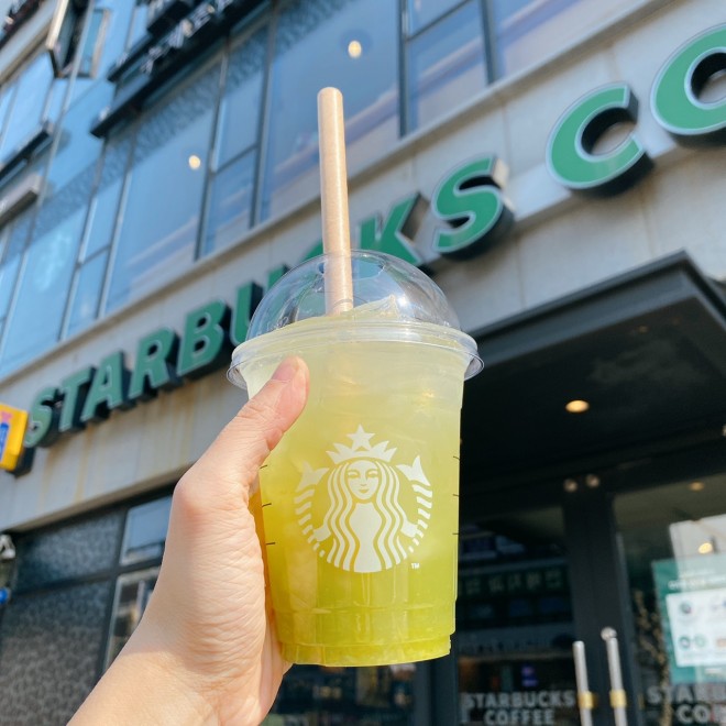 �u�V���C���}�X�J�b�g �G�C�h�v�@�B�e�F�񖓈��q