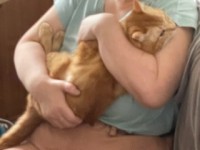 I県多頭飼育崩壊の現場、猫を抱きしめる飼い主の女性