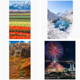 �h�x�R�̖{�C�h�B�葱����ʐ^�ƁE�C�i�K�L���X�g����̃t�H�g�M�������[