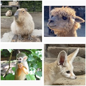 ����o�C�I�p�[�N�̂�������ق���������̓�������