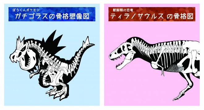 ポケモン史上初の 骨格 公開に反響 人も予算もない 地方博物館の意外な挑戦 3ページ目 Oricon News