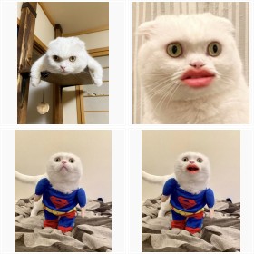 �����݂����ȁh�����т�L�h