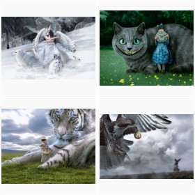 �g�g����i���j�A�����ꕗ���c���̖���������Kogame����̉��H�ʐ^