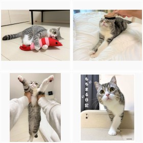 �t�H�g�u�b�N�w�����܂���L�x�t�H�g�M�������[