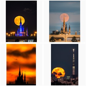 �����ƃV���f������Ȃ�7���񂪎B�e�����ʐ^�M�������[