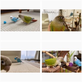 �Ўv������C���R�̂��߂����A���܂����@�t�H�g�M�������[