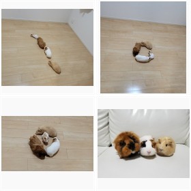 �u��̋V���c�H�v�������b�g�����̊���ȍs����15��������