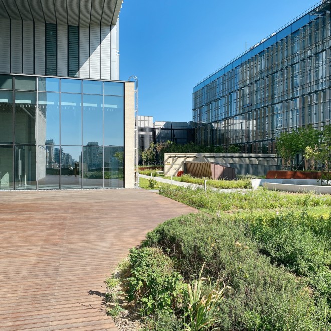 �L�X�Ƃ����������C���������I