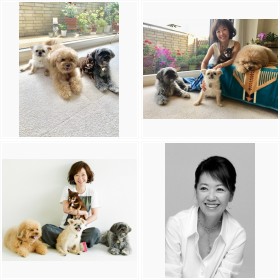 浅田美代子『いぬねこなかまフェス2021』フォトギャラリー