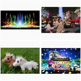 �w�������K�C���~2021-2022�x�t�H�g�M�������[