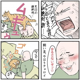 【漫画】猫あるある