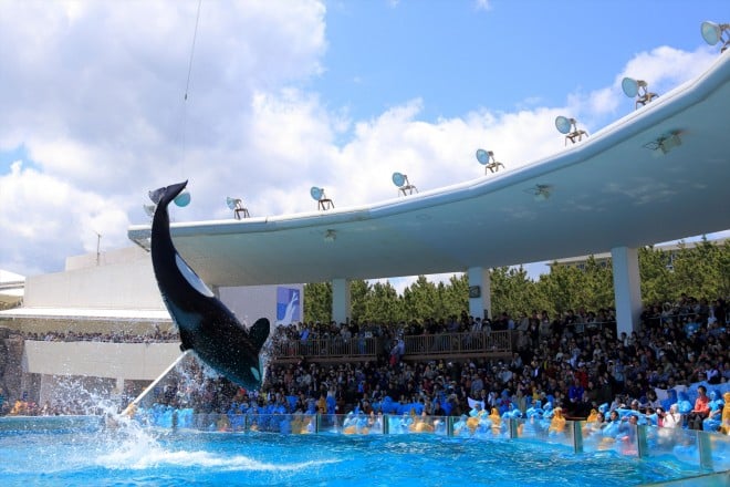 画像 写真 鴨川シーワールド 10枚目 Oricon News