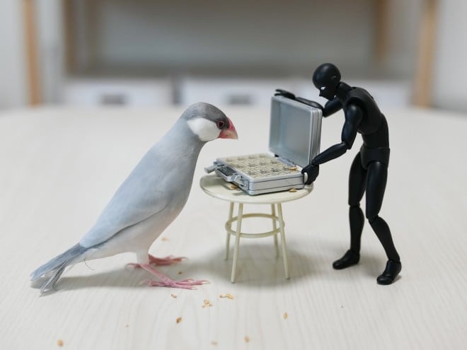 ����������Ɂc �ʐ^�񋟁F���̂�������i@suz_kinoko�j