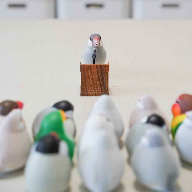 ����������̂́A���̂��N�ƈꏏ�ɂ��炷�V���o�[�����E�\�j�[�N �ʐ^�񋟁F���̂�������i@suz_kinoko�j