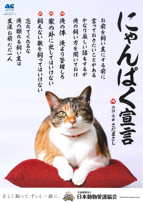 巣ごもりペット需要の一方で 飼育放棄も増加 その一目惚れ迷惑です に込められた思い Oricon News