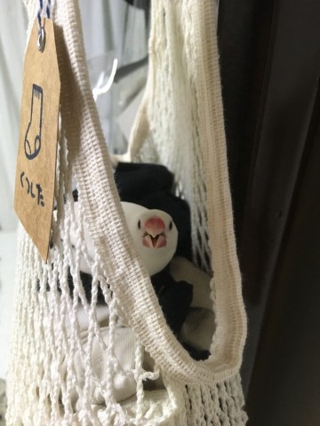 �����傳��̕��̒��ɑ����H �ʐ^�񋟁F�X�J�E�^�[����^��[������