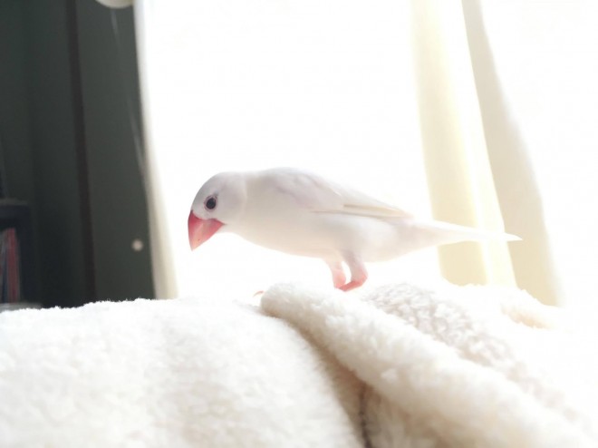  �ʐ^�񋟁F�X�J�E�^�[����^��[������