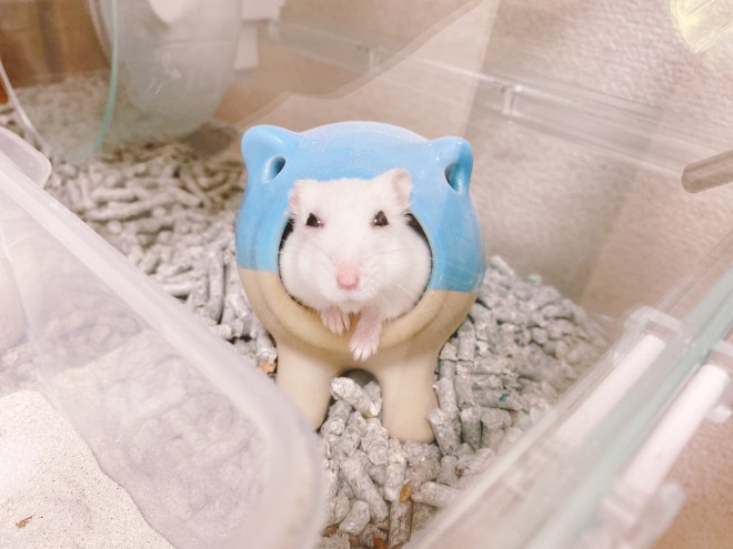 �摜�񋟁F�݂݂߂߂����