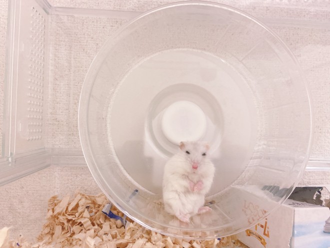 �摜�񋟁F�݂݂߂߂����