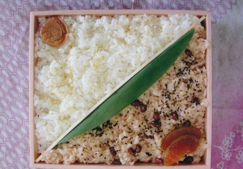 �Ό��v�� �����ٓ��i1/2���j�� �ʐ^�񋟁^�Ñ���