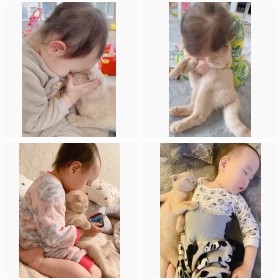 【天使キッズ】スコティッシュフォールドを溺愛する3才娘