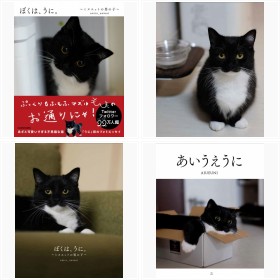 『ぼくは、うに。〜ミヌエットの男の子〜』(KADOKAWA)