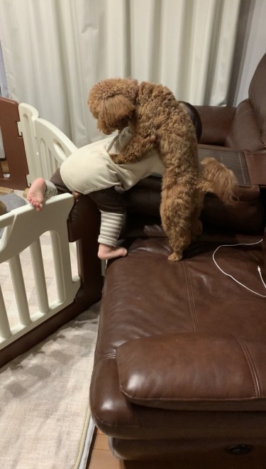 �����N�Œ��ǂ��̂ۂ񂽂���Ƒ��q����