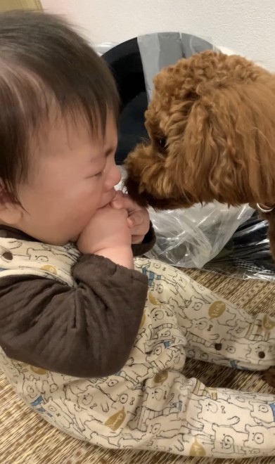 �����N�Œ��ǂ��̂ۂ񂽂���Ƒ��q����