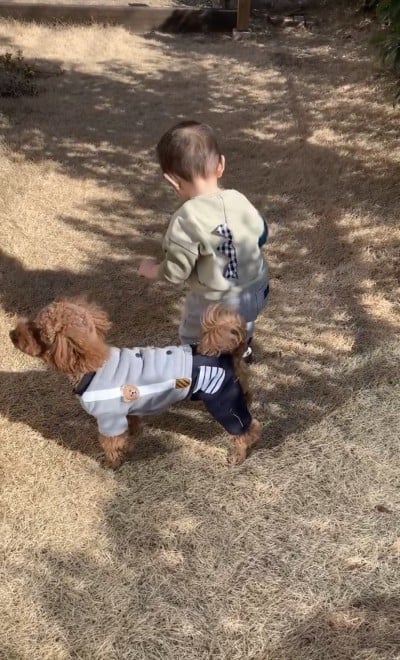 �����N�Œ��ǂ��̂ۂ񂽂���Ƒ��q����