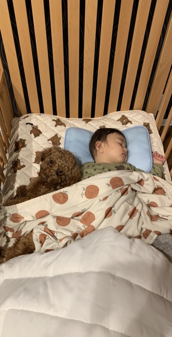 �����N�Œ��ǂ��̂ۂ񂽂���Ƒ��q����