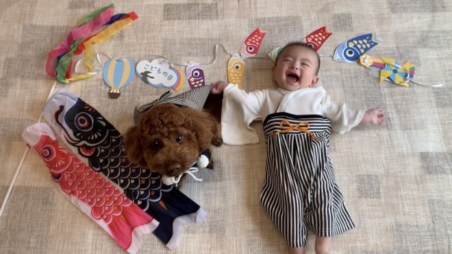 �����N�Œ��ǂ��̂ۂ񂽂���Ƒ��q����