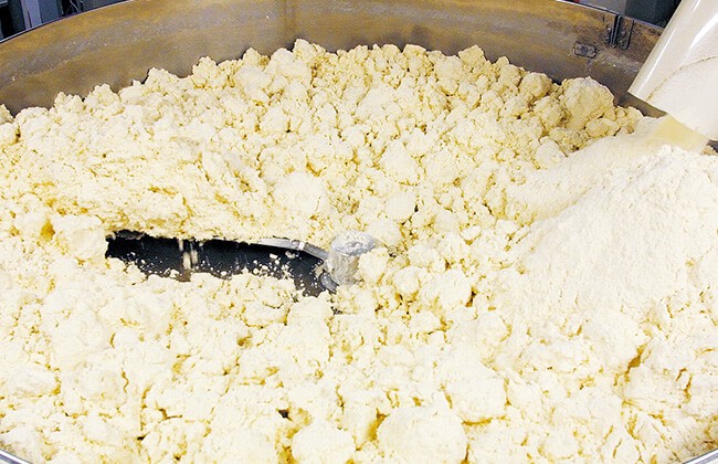 ����J���p�j�[�w�x�r�[�X�^�[���[�����x�����̗l�q