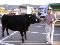 A5等級の３歳雌牛のみを使用した神戸牛