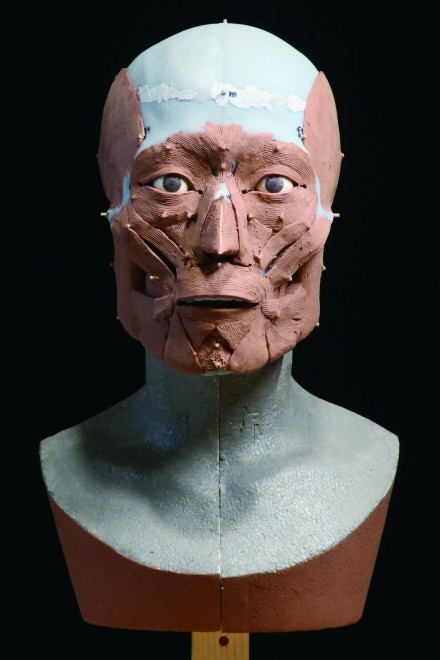 挧̐J㎛nՂ甭@ꂽlƂɕw퐶lx