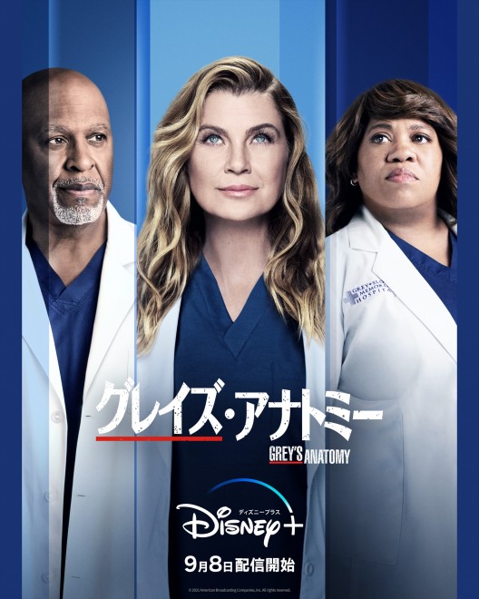 �w�O���C�Y�E�A�i�g�~�[�x�V�[�Y��18