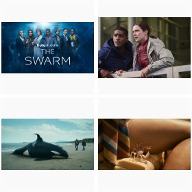 Hulu�I���W�i���wTHE SWARM�^�U�E�X�E�H�[���x2023�N3��4���z�M�J�n