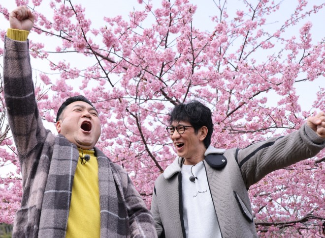 �A���^�b�`���u�������S�[���f����MC�𖱂߂�w�Ђ炯�I�p���h���̔� �A���^�b�`���u��TV�x�i4��11���X�^�[�g�A���T�Ηj ��9�F00�^�J���e���E�t�W�e���r�n�j