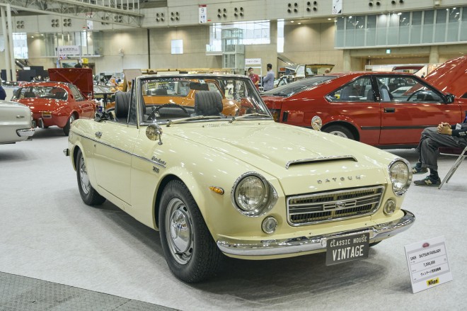 ���B���e�[�W�{�c�����ԁw�_�b�g�T�� �t�F�A���f�B�x�@�B�e�^���⑏