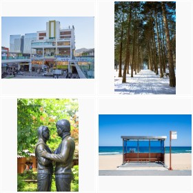 �w�~�̃\�i�^�x��w���̕s�����x�w���B���`�F���c�H�x�c�؍��h���}���P�n��BTS�䂩��̒n