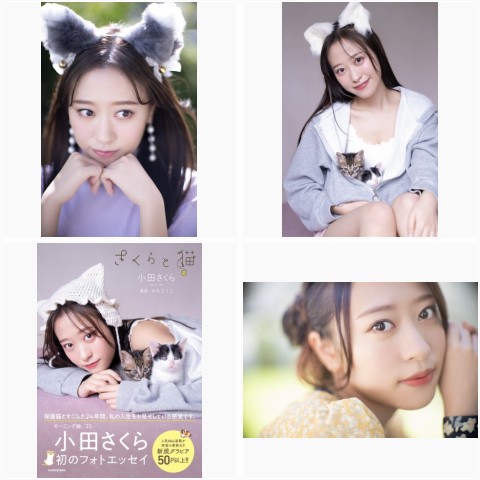 モーニング娘 生写真 ハロプロ 工藤遥 卒業 譜久村聖 小田さくら 牧野真莉愛 モーニング娘。'25の画像・写真 | モー娘。'16・鈴木香音“ぽちゃ