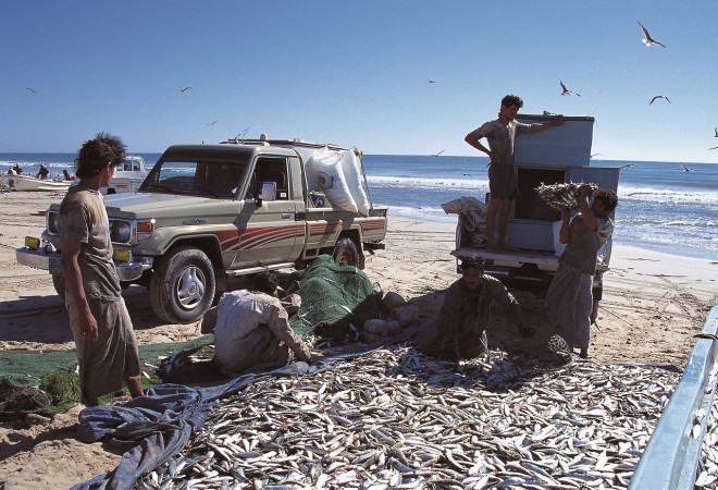 EenŊ􂷂郉hN[U[iI}[̋j