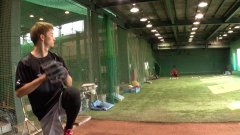 ���K���錳�L�����m�J�[�v�̖��c�a�� �iC�jTBS