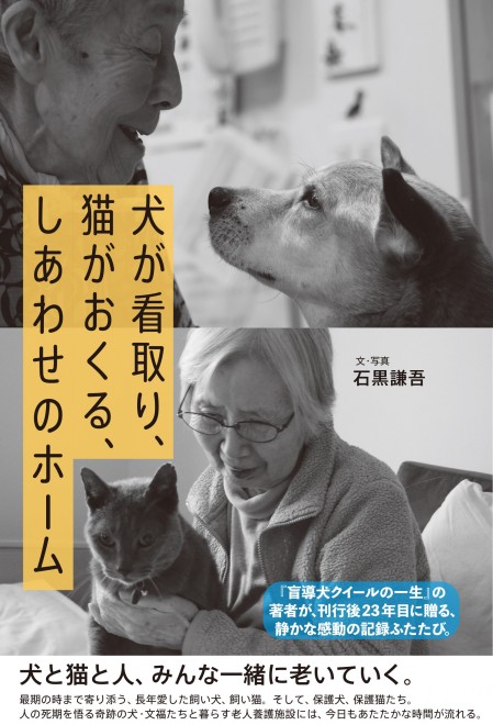 瑠璃福犬ペア