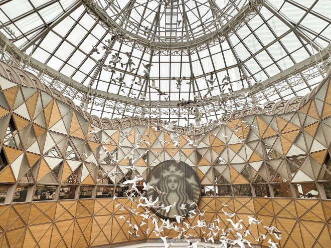 �X�^�[�o�b�N�X�R�[�q�[ �B�e�Fyuuka