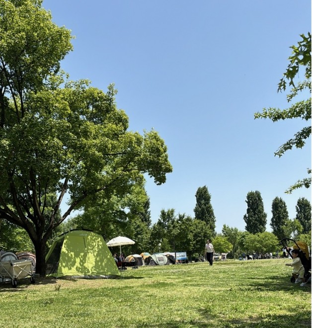 ���ᓇ���� �i�B�e�F�񖓈��q�j