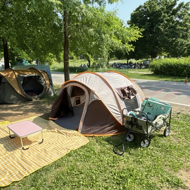 �����^�������e���g �i�B�e�F�񖓈��q�j